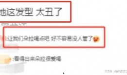 冰岛爆料最新视频播放,震撼画面引全球关注